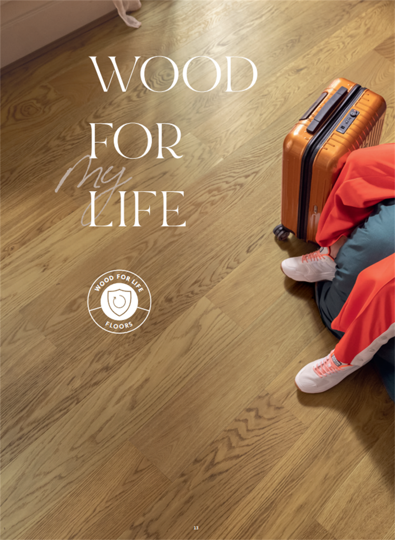 为美好而来，尽情享受您的 Wood for Life 4