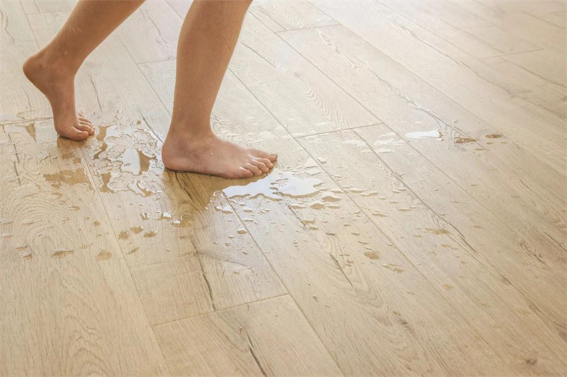 地板还要“防晒”“抗衰”？得高Quick-Step驻颜有术！ image4